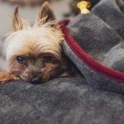 TrendPet Ruby Kuschel- und Trocknungsdecke, grau