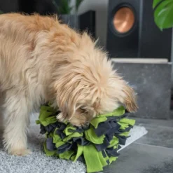 TrendPet Schnüffelball 25cm