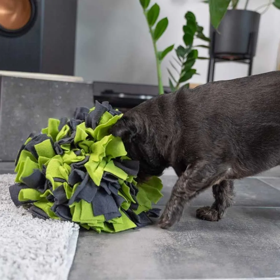 TrendPet Schnüffelball 25cm