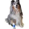 Vetlando Heimtierpflaster, 1 Rolle 5cmx1m uncut