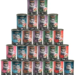 Vorteilspack Leonardo Dose 24 x 400g