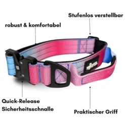 Woofed Nylon Tactical, Halsband, Griff, pink blue sky