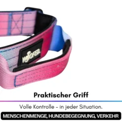 Woofed Nylon Tactical, Halsband, Griff, pink blue sky